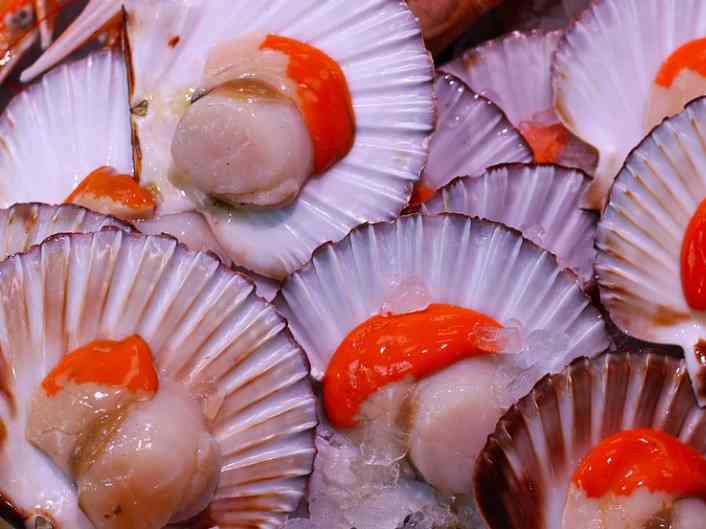 what does raw scallop taste like